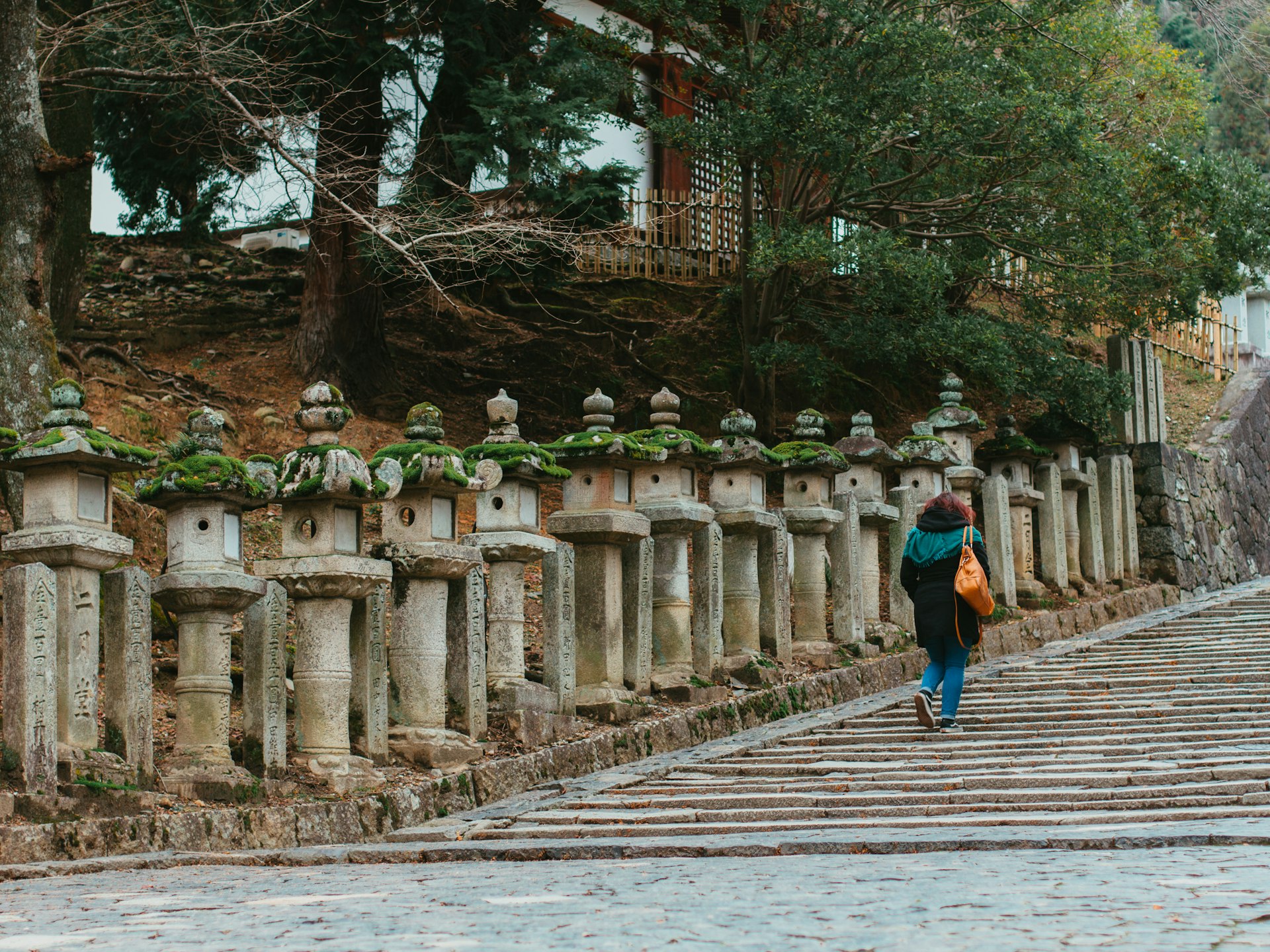 people walking on wooden bridge during daytime